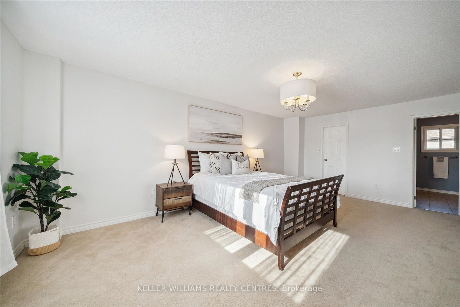 73 Rollo Drive