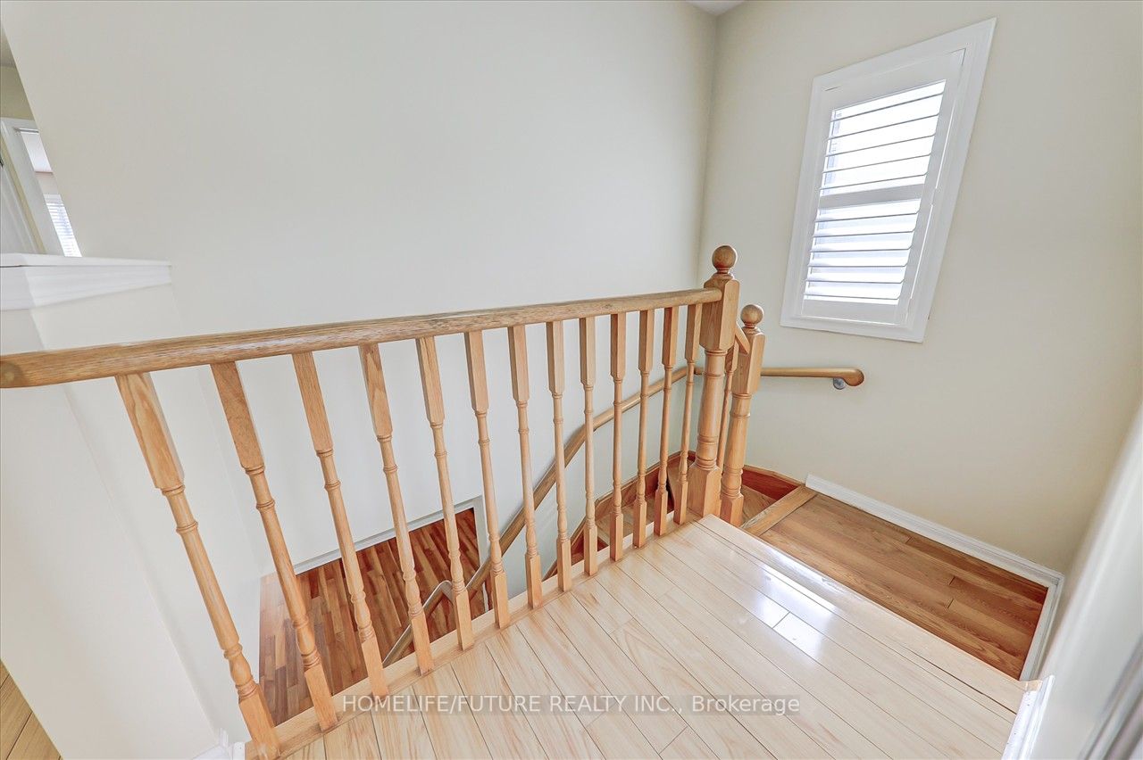 17 Trumpeter St