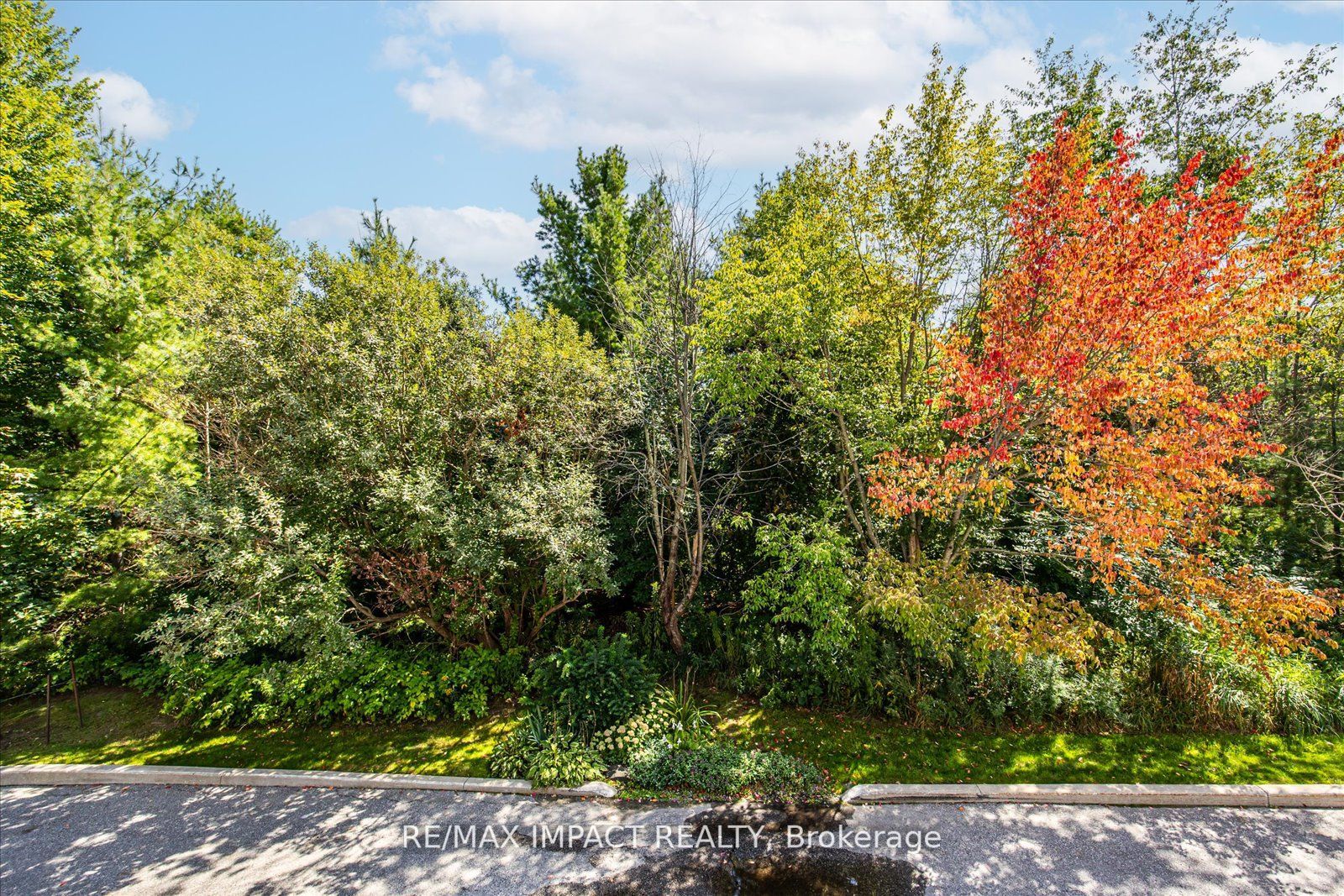 Listing E6813874 - Large Photo # 25