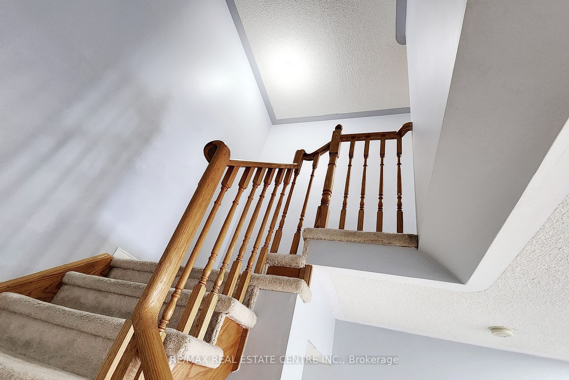 98 Wilkins Cres
