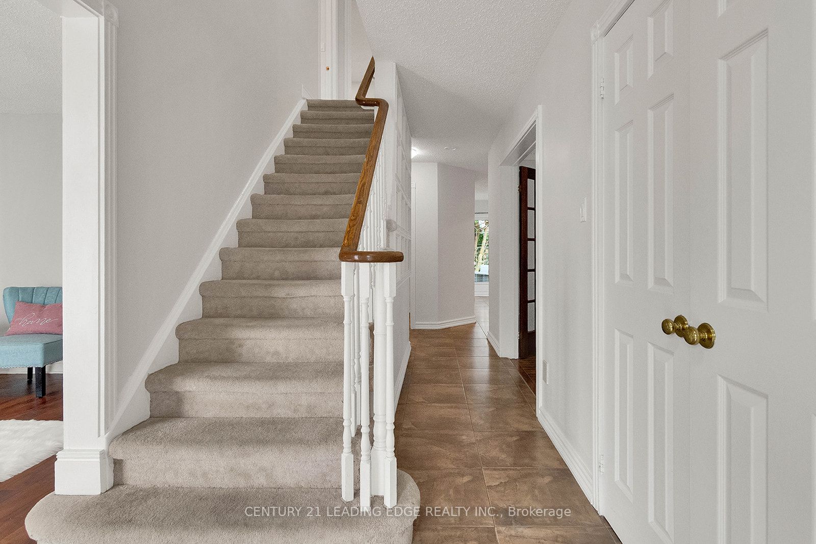 44 Reed Dr