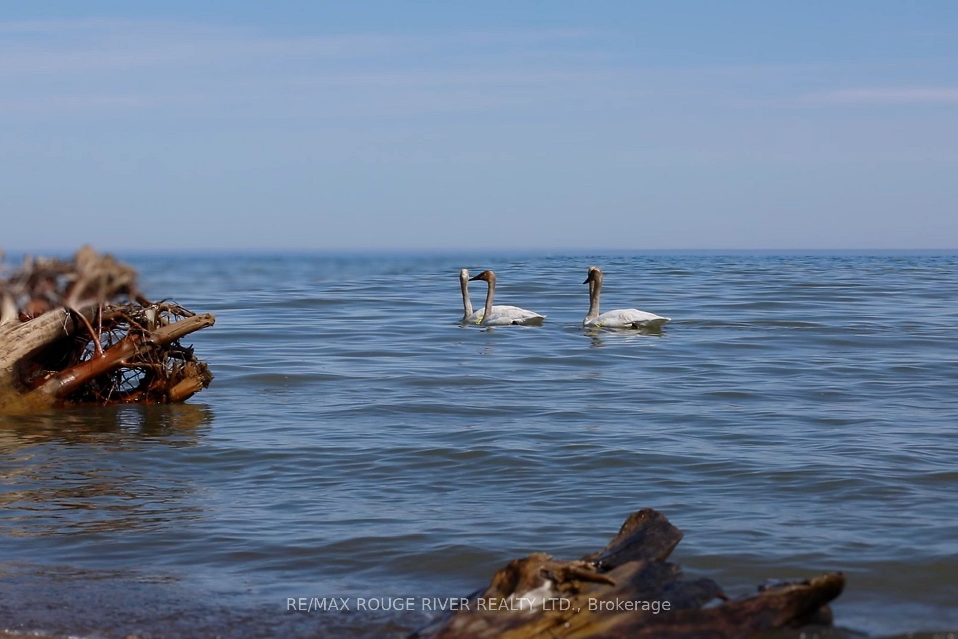 Listing E7001596 - Large Photo # 39