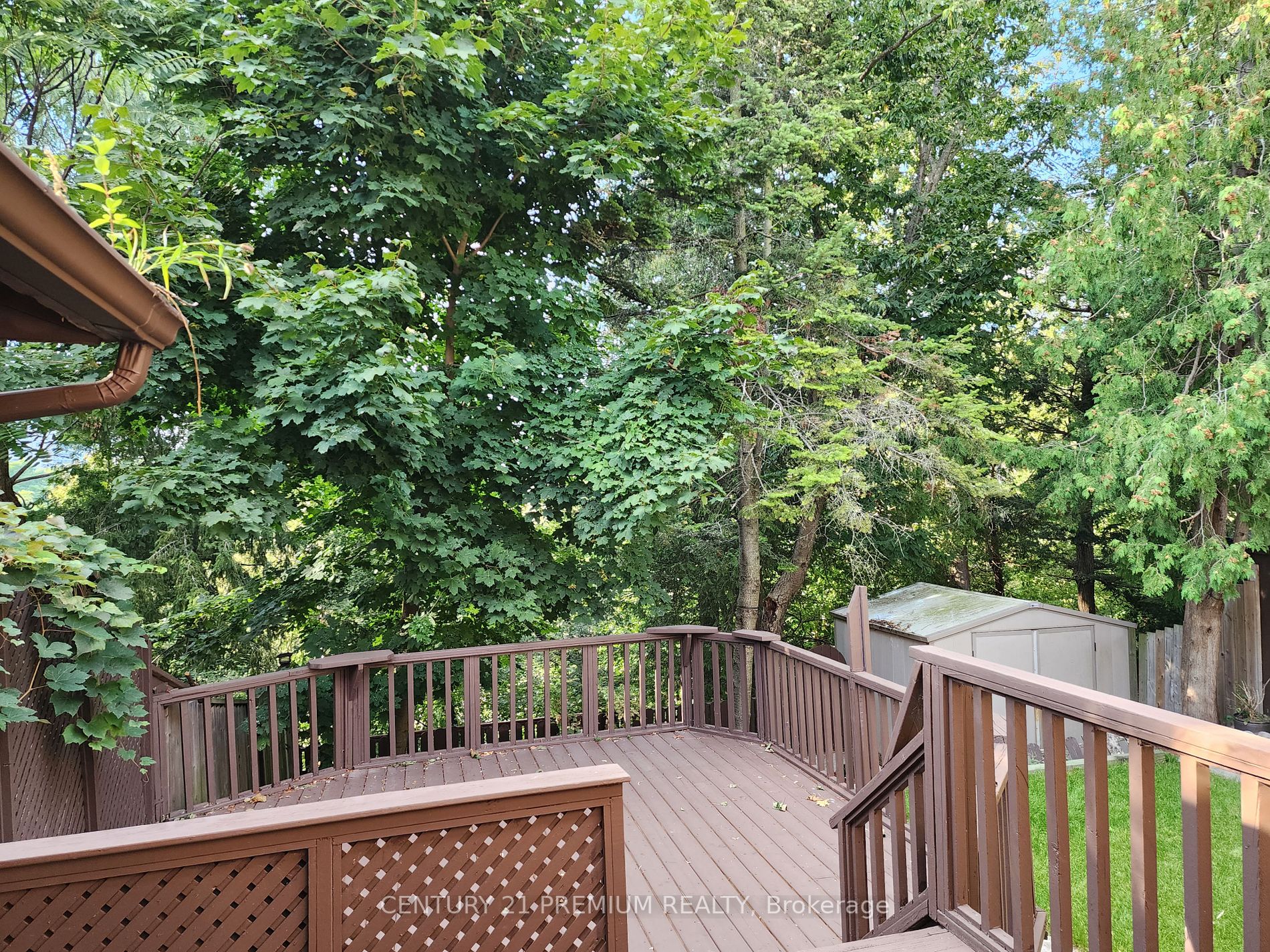 132 Celeste Drive