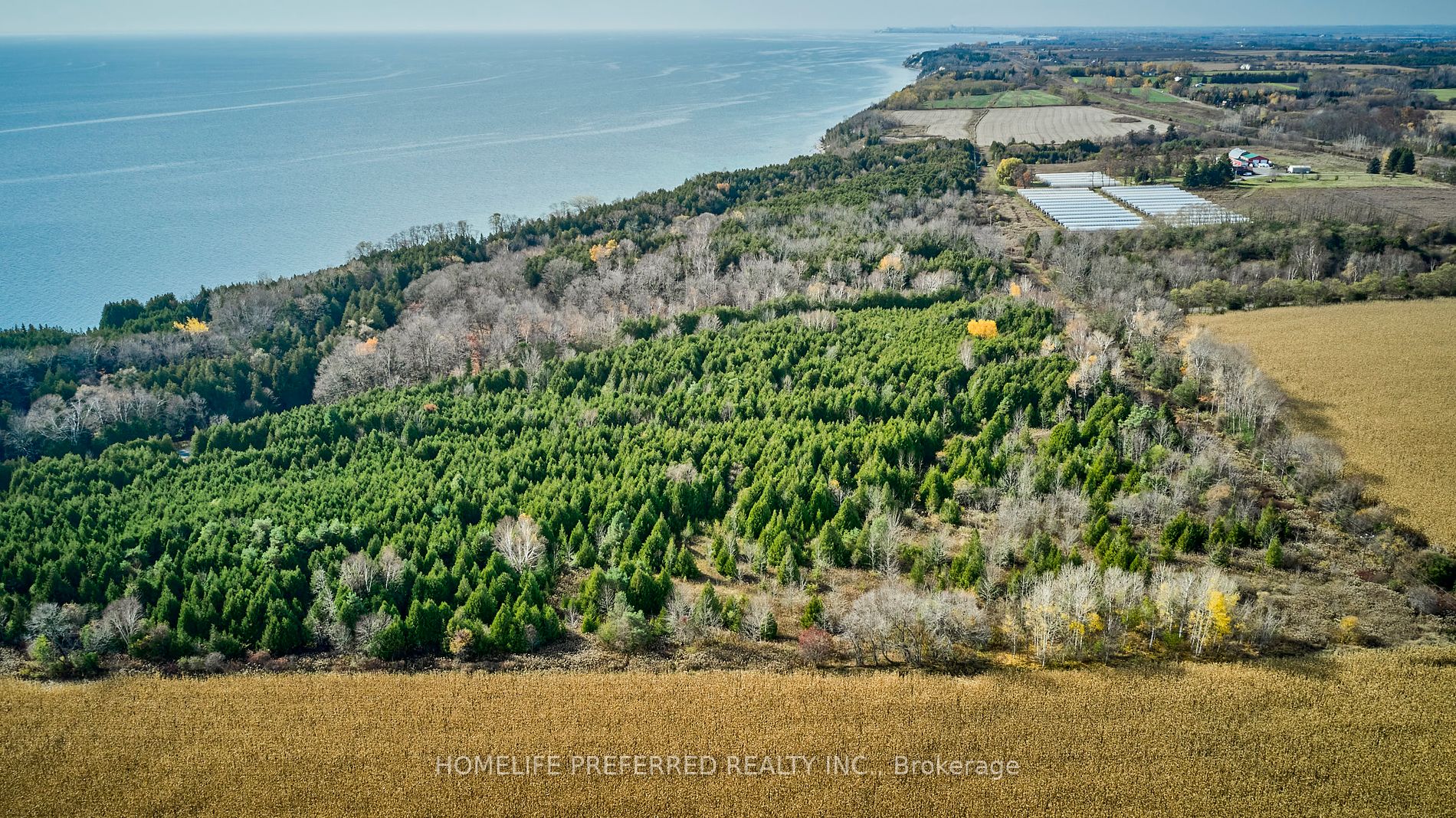 0 Lakeshore Rd