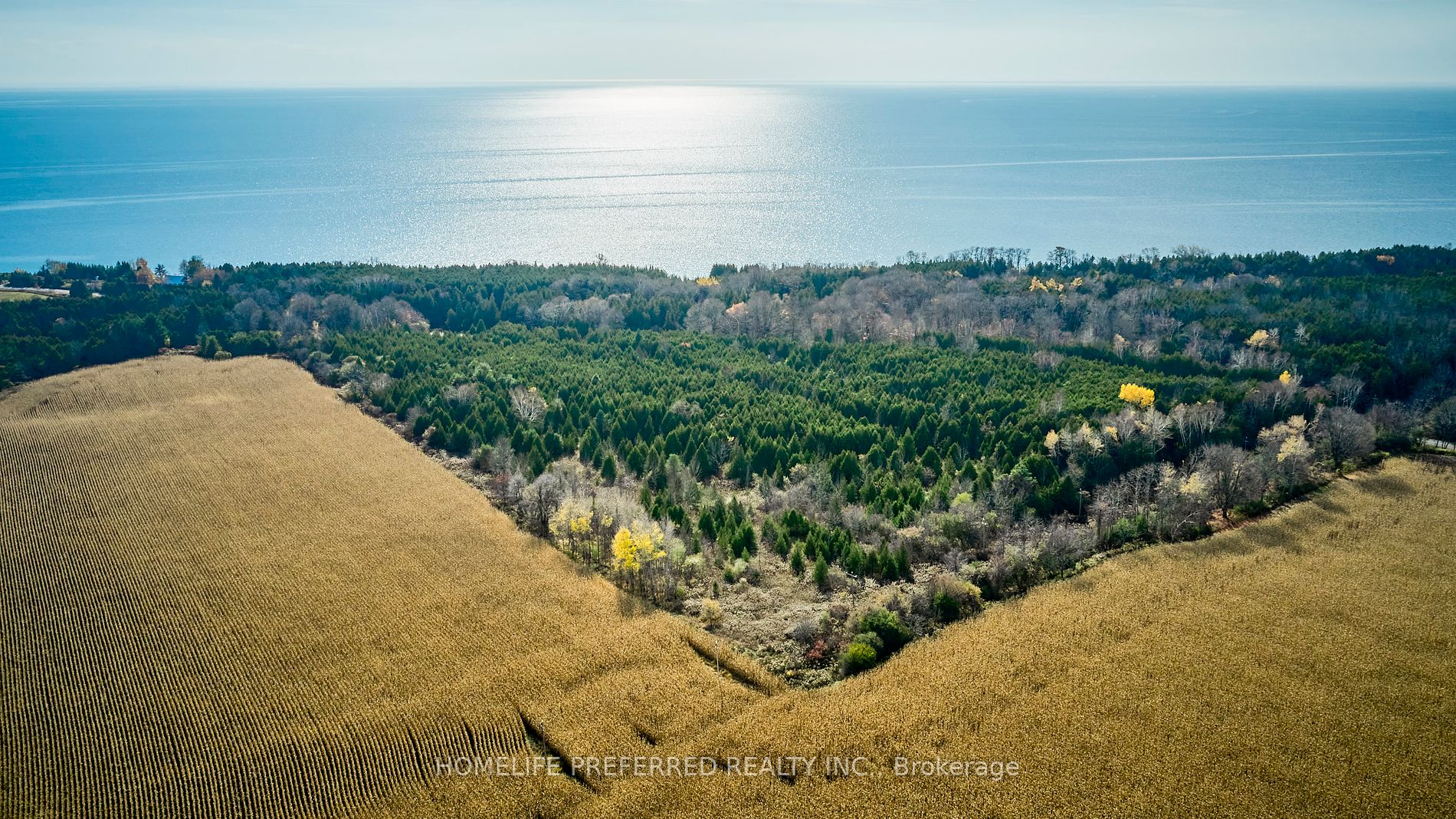 0 Lakeshore Rd