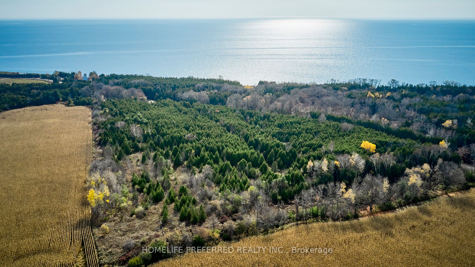 0 Lakeshore Rd