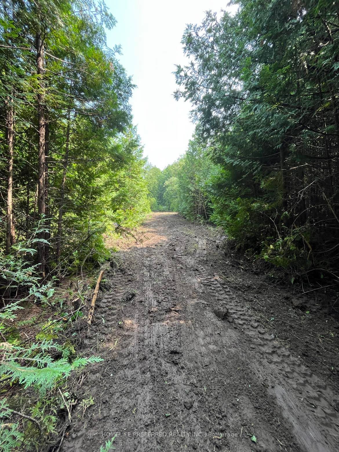 0 Lakeshore Rd