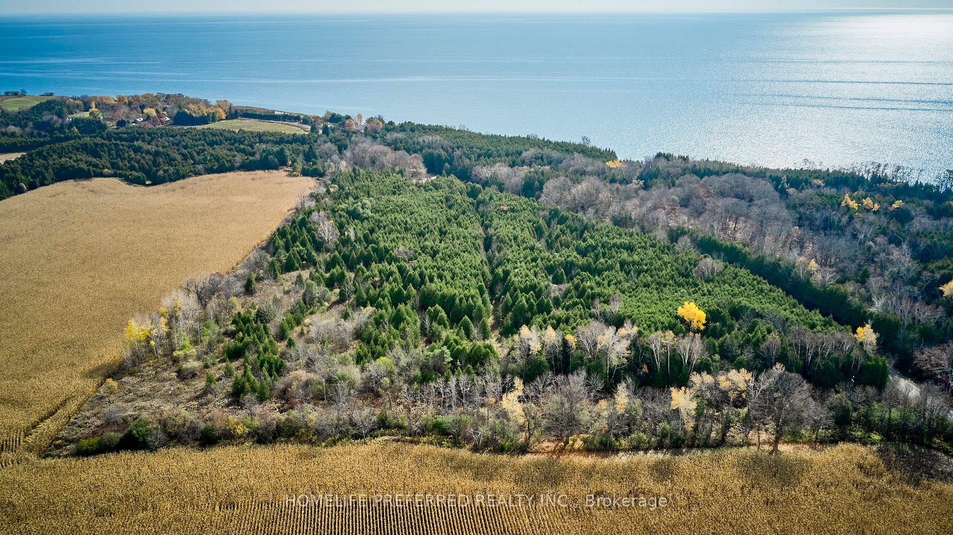 0 Lakeshore Rd
