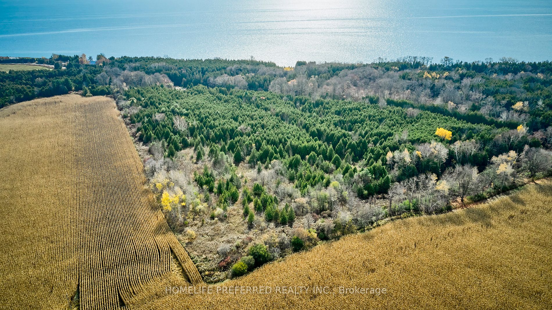 0 Lakeshore Rd