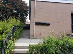 507 Colborne St W, #Lower