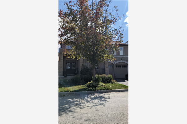 30 Portelli Cres, Ajax