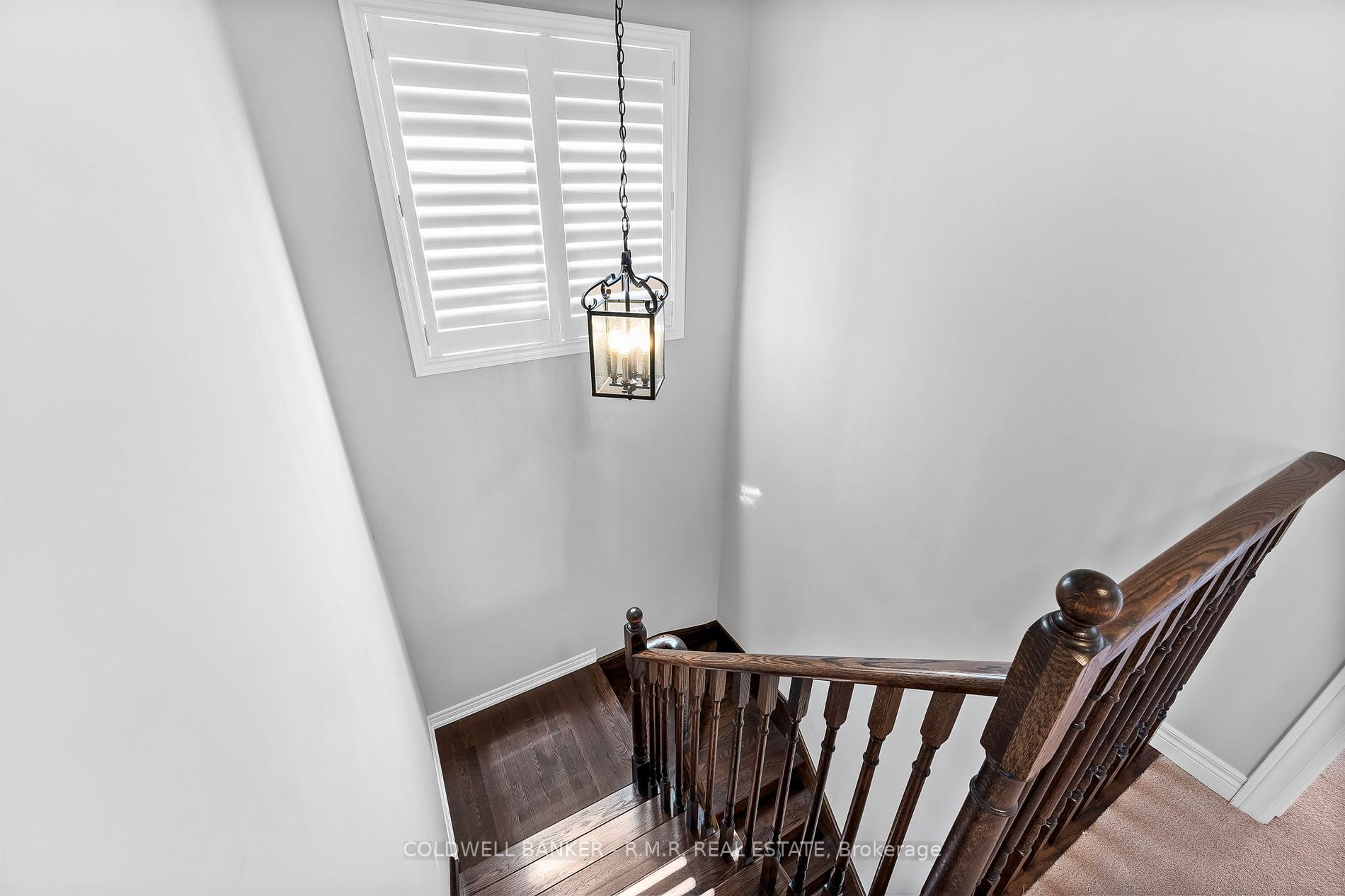 15 Mcdonald Cres