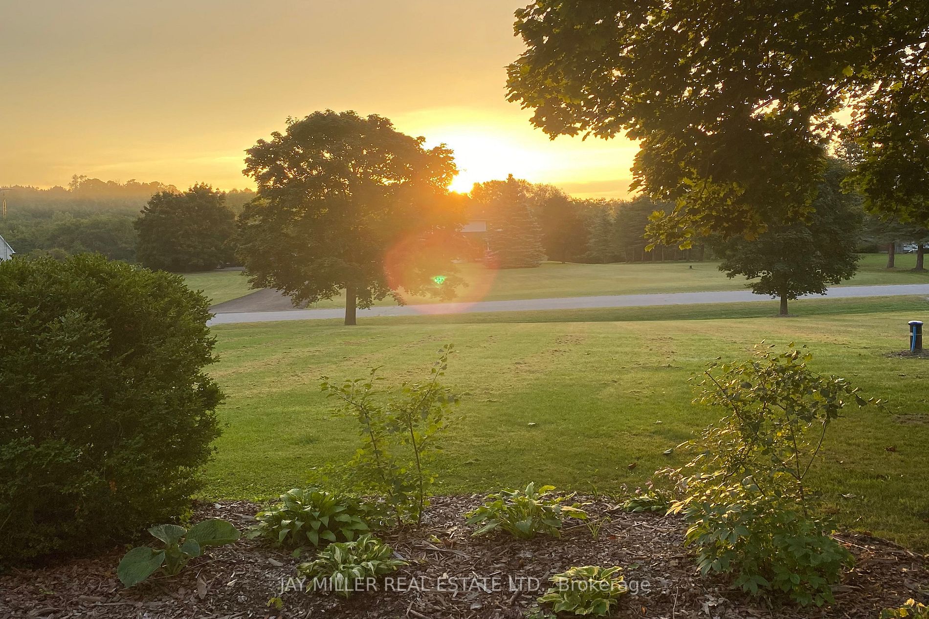 35 Sunny Ridge Tr