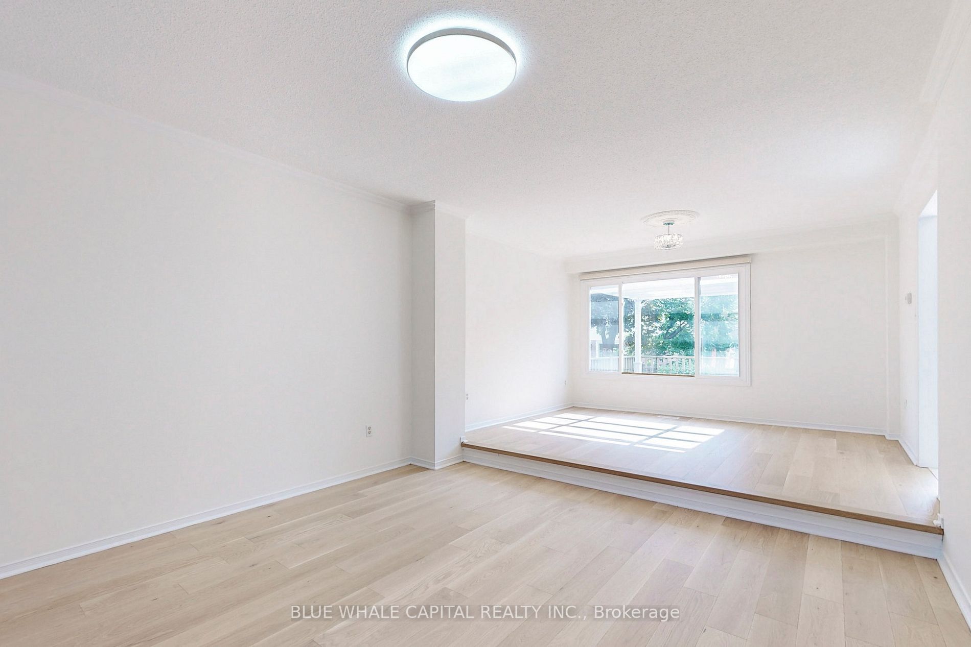 61 Holmbush Cres