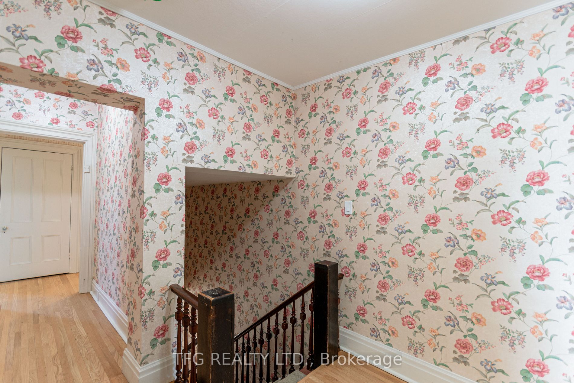 21 Elgin St