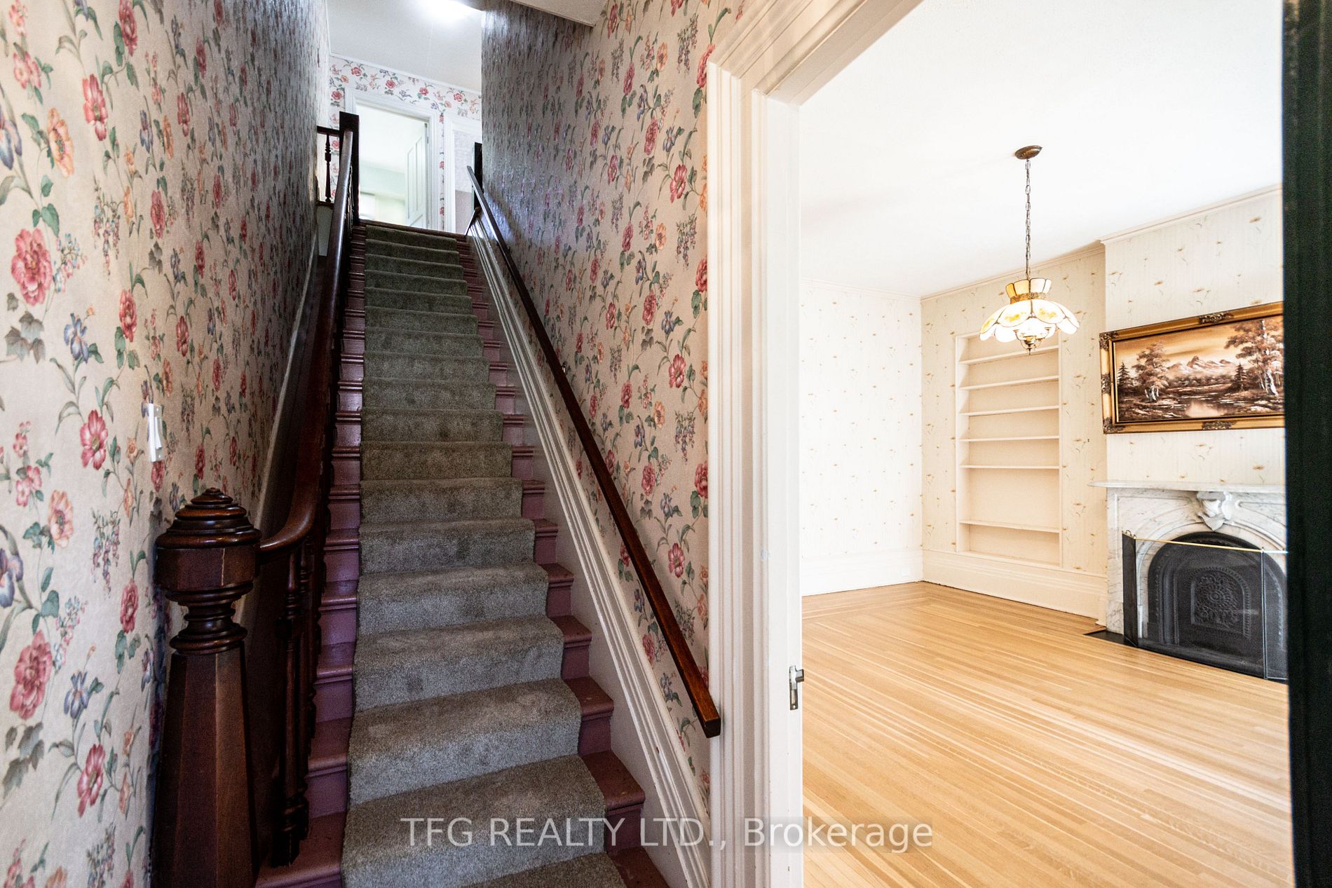 21 Elgin St