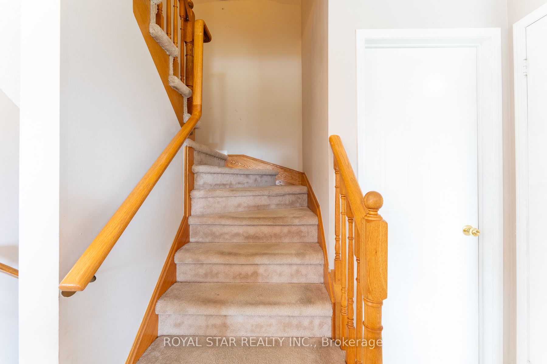115 Wilkins Cres