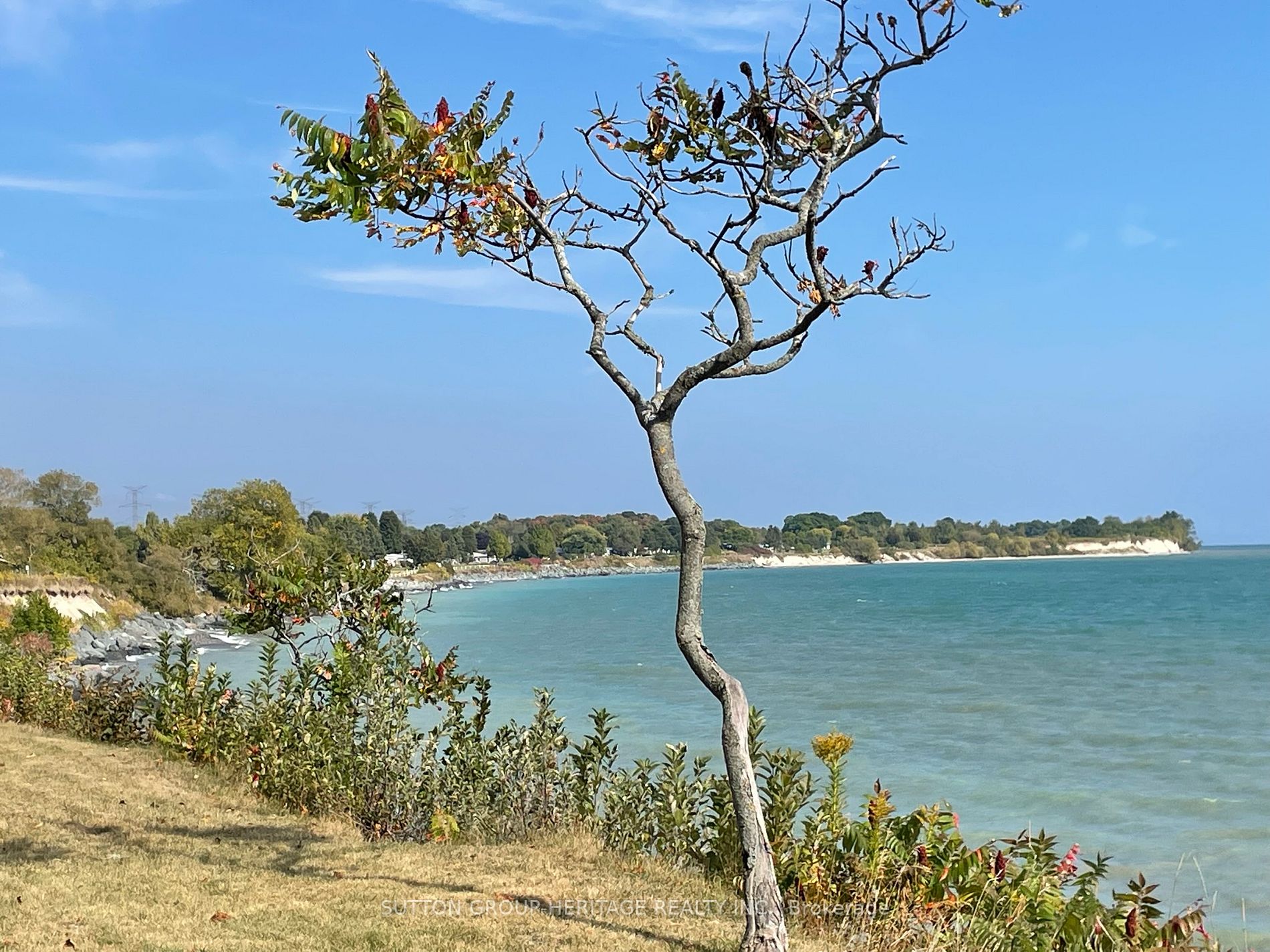 73 Bluffs Road