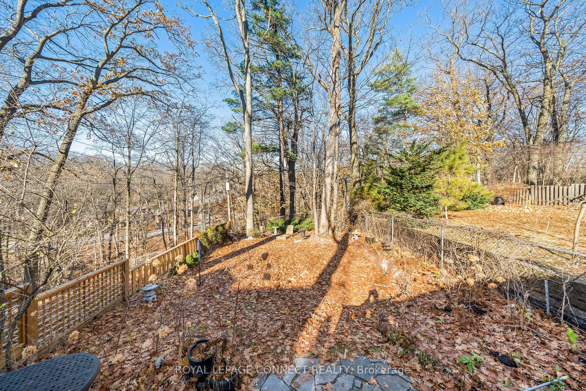 70 Pine Cres