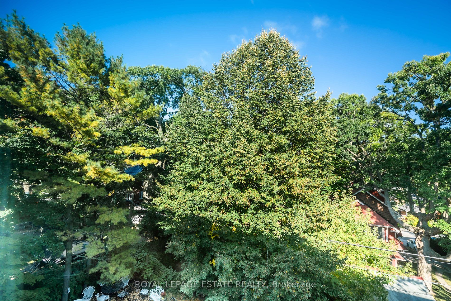 75 Scarborough Rd, #302