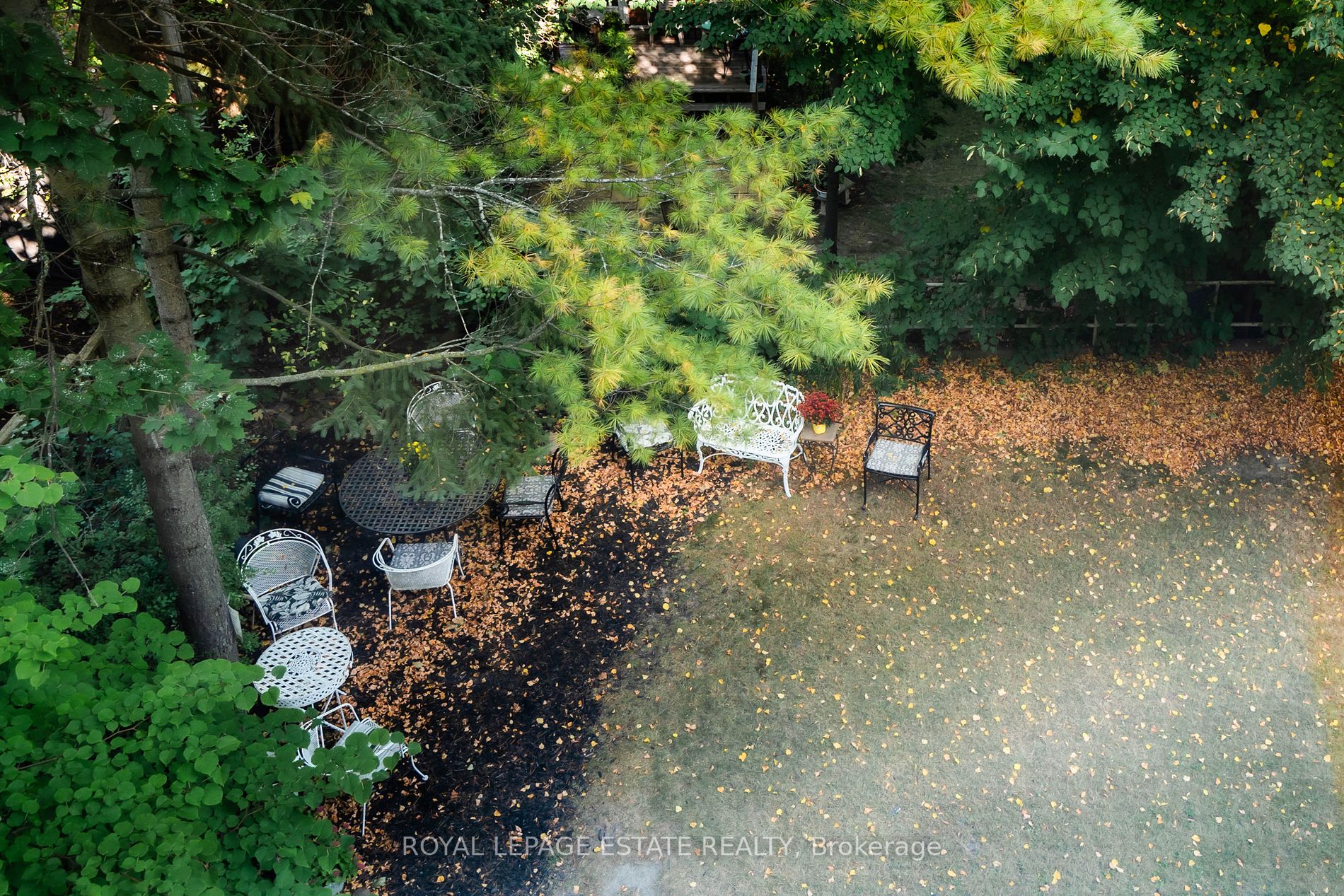 75 Scarborough Rd, #302