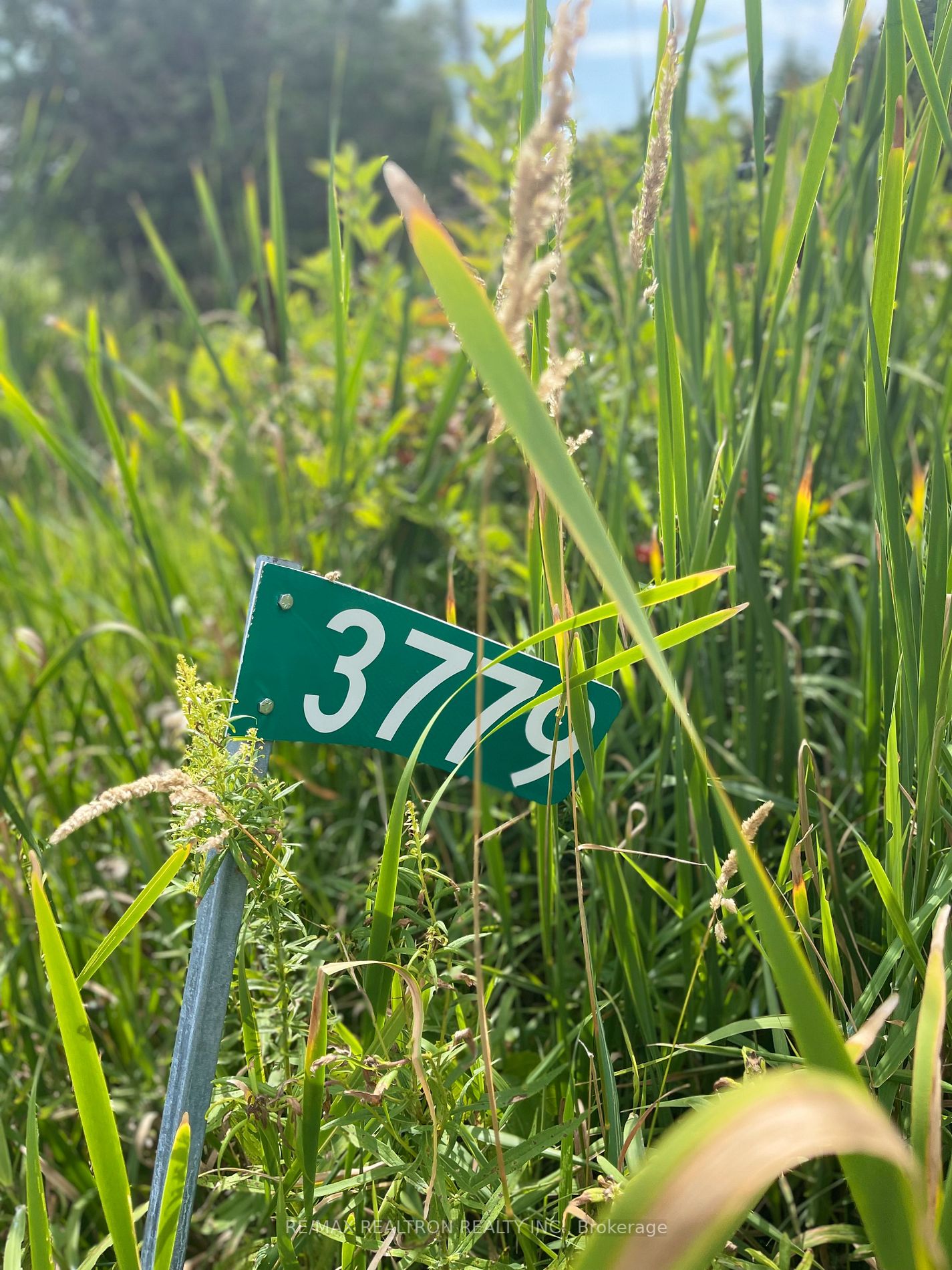 3779 Concession 3 Rd