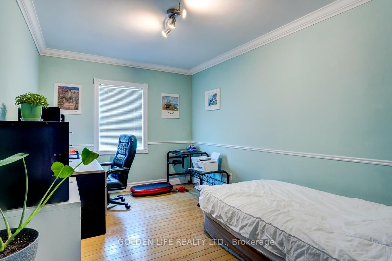 492 Plains Rd, #Main Fl