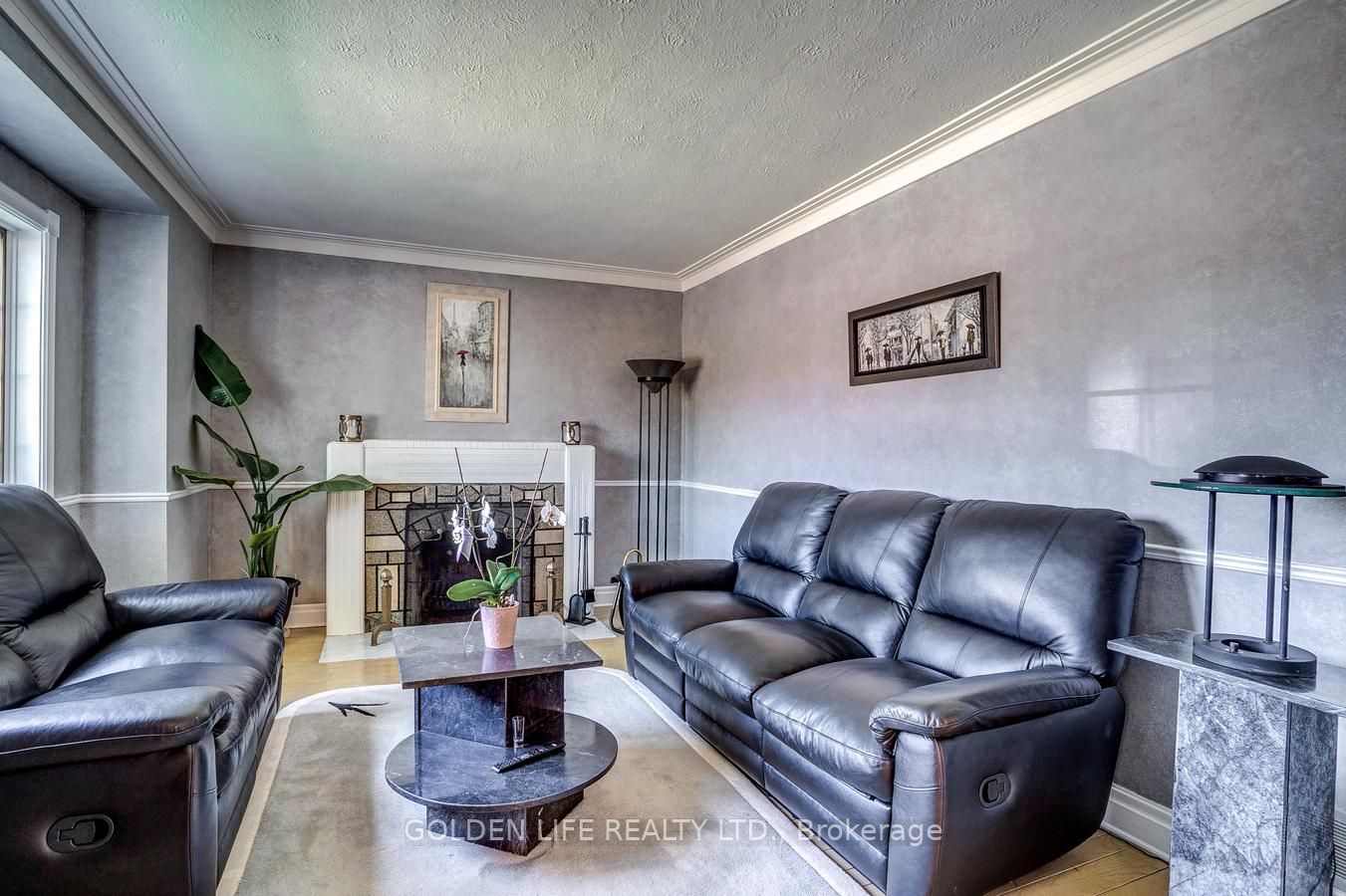 492 Plains Rd, #Main Fl