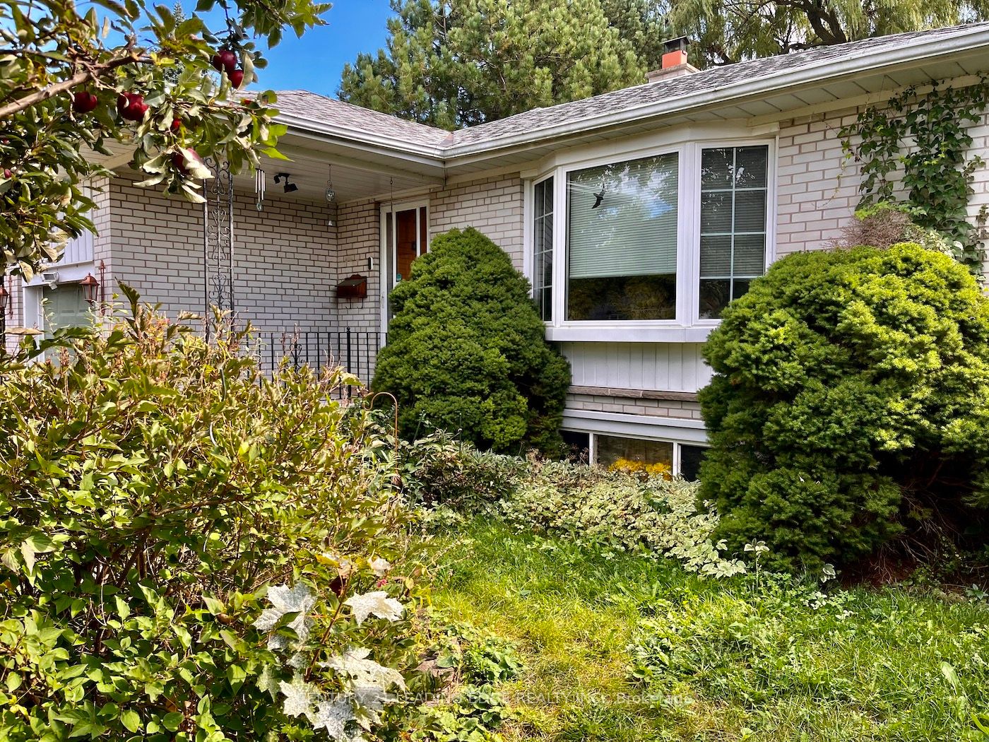 31 Cumber Ave