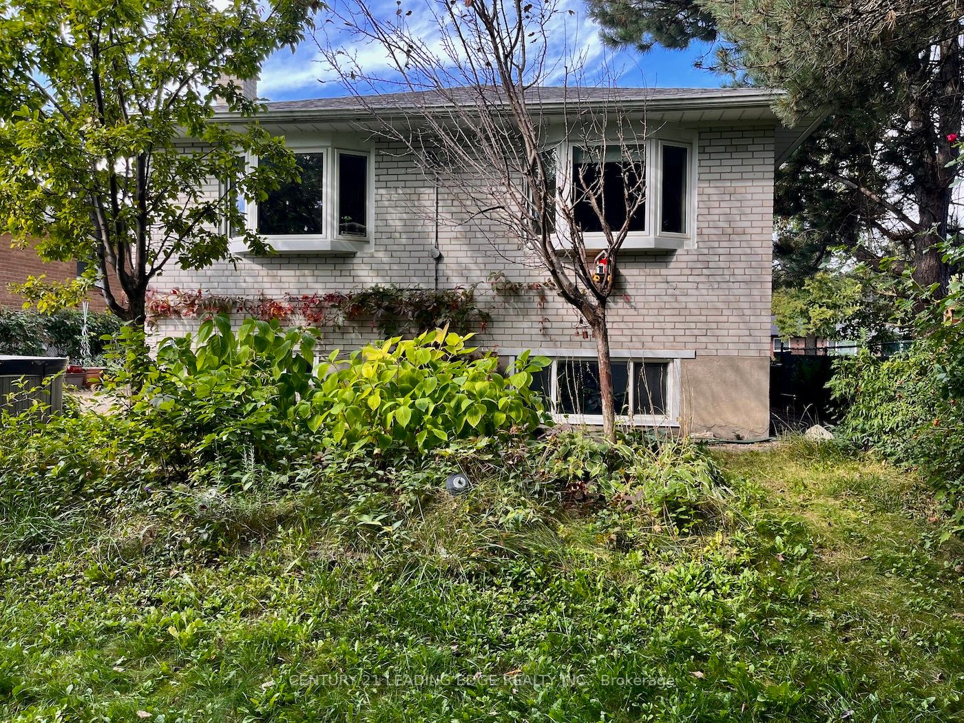 31 Cumber Ave
