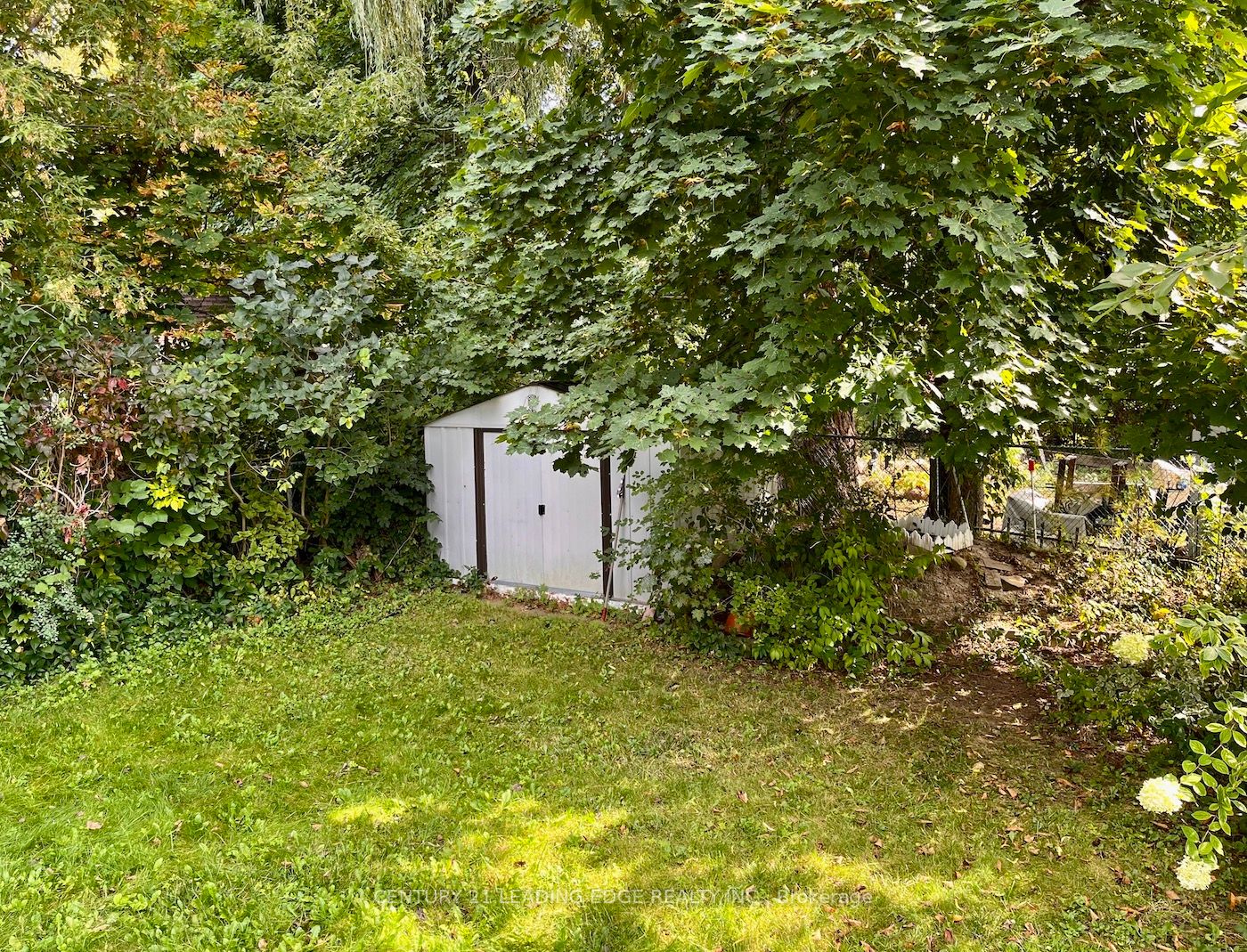 31 Cumber Ave