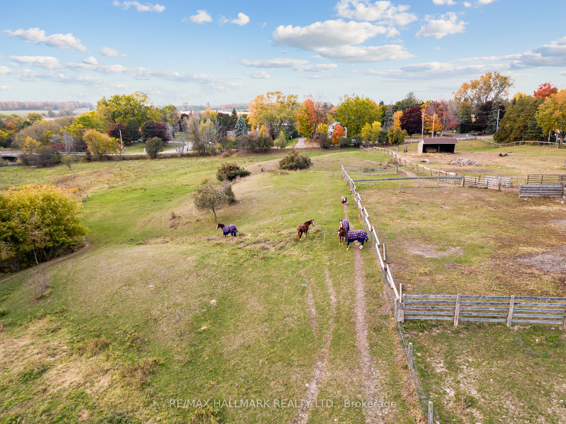 1904 Concession Rd 6 Rd