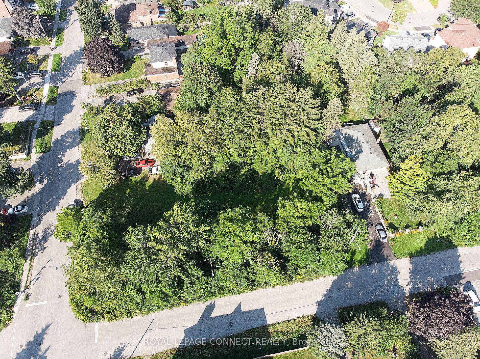98 Euclid Ave