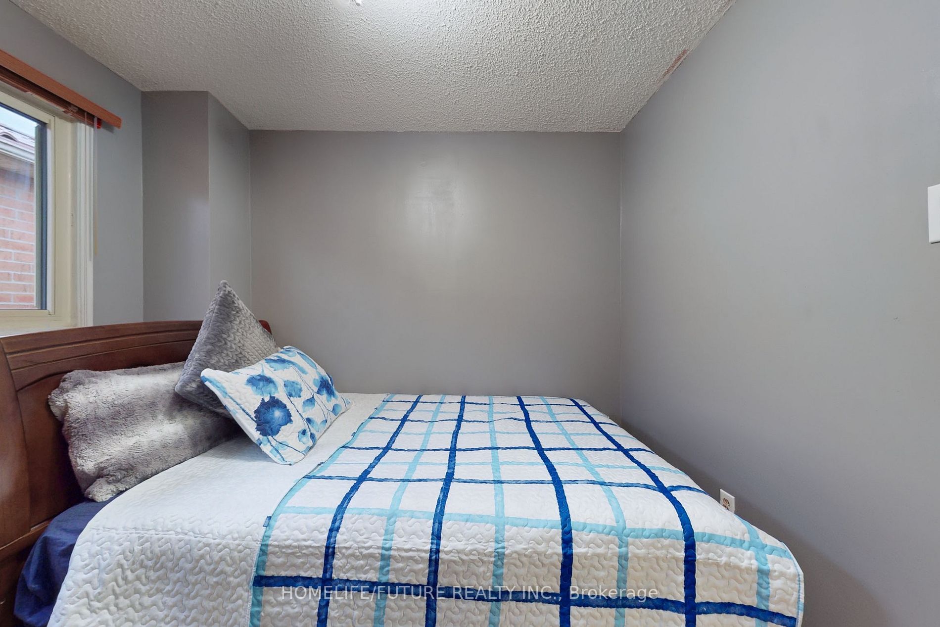 113 Hupfield Tr