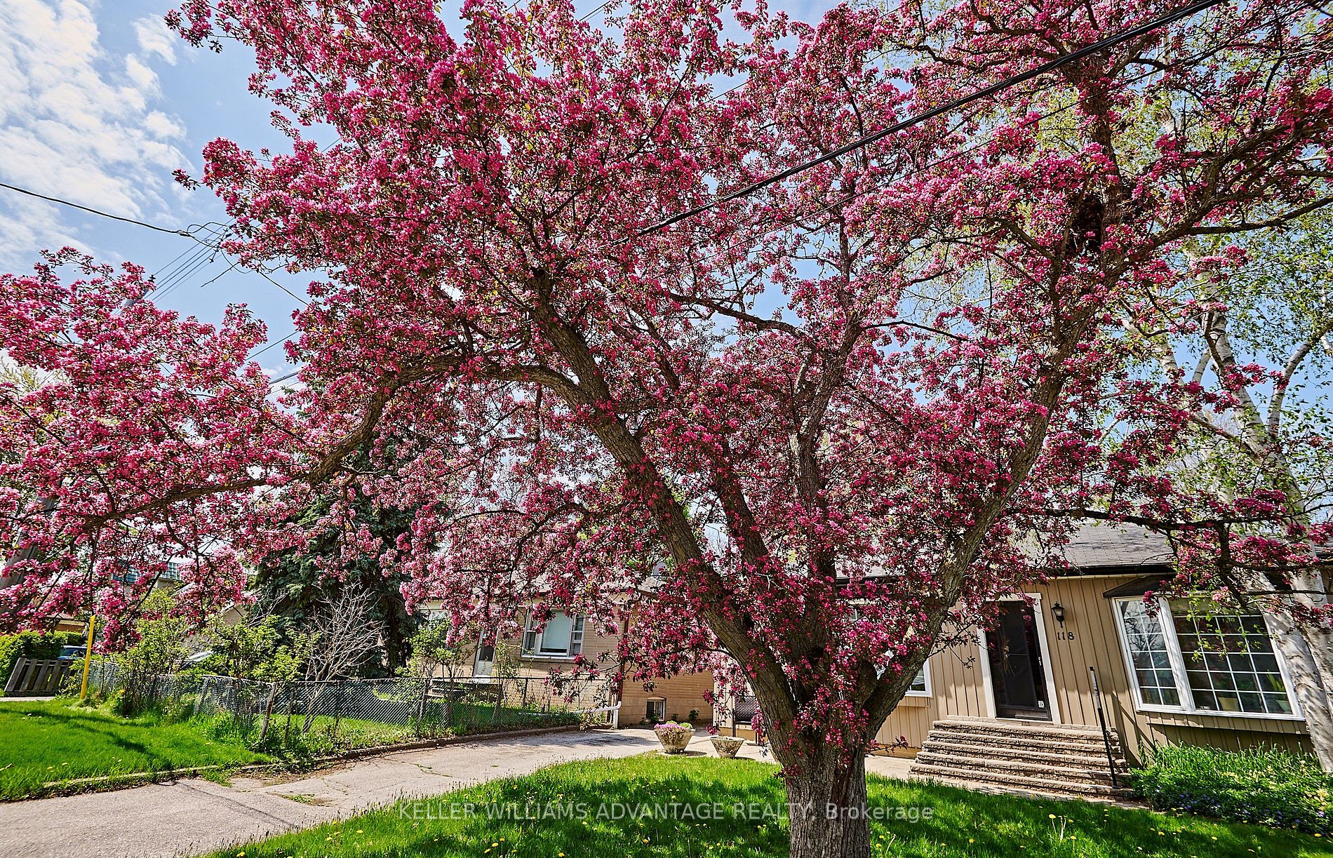 118 Kitchener Rd