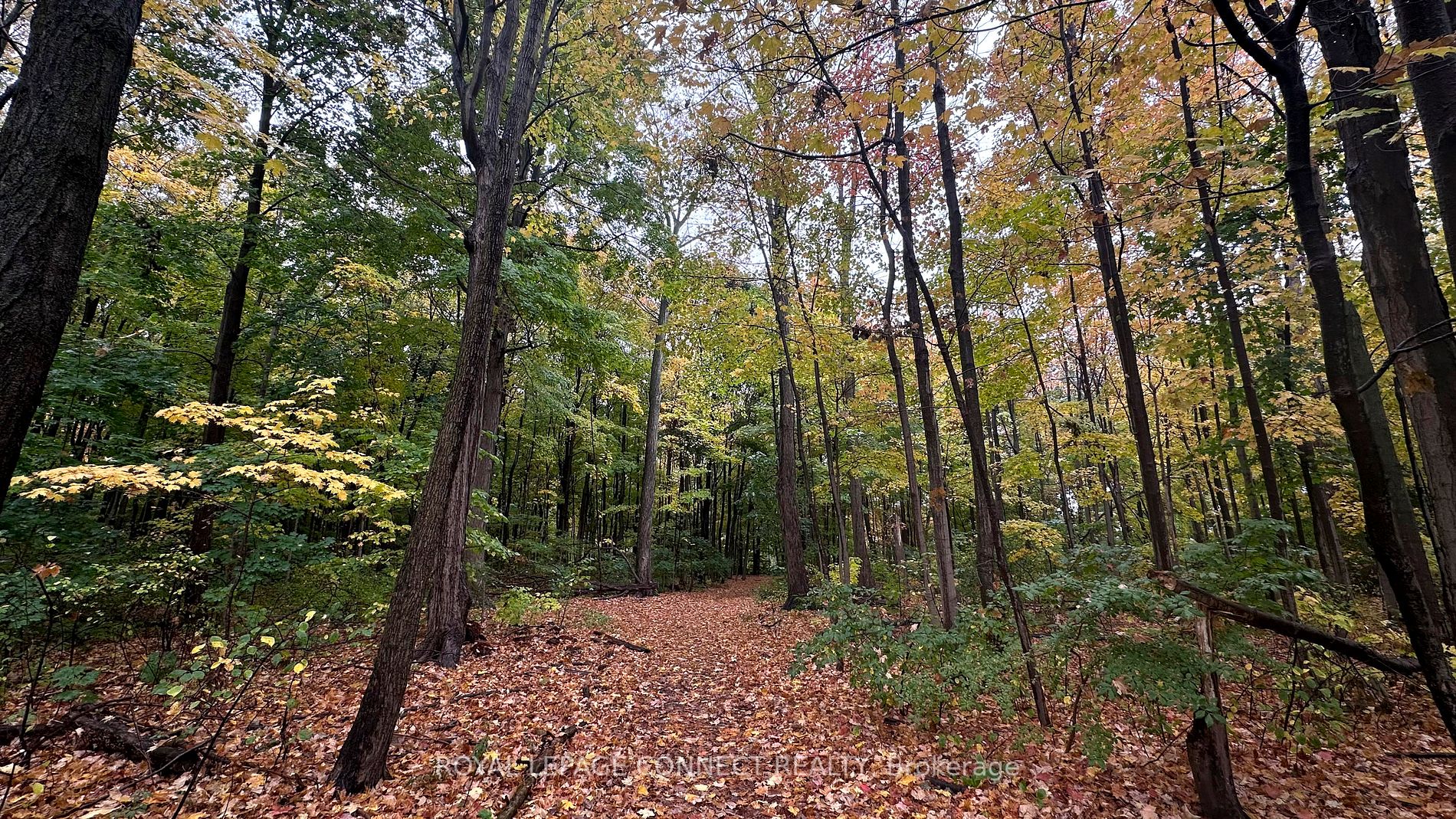 121 Ling Rd, #1403