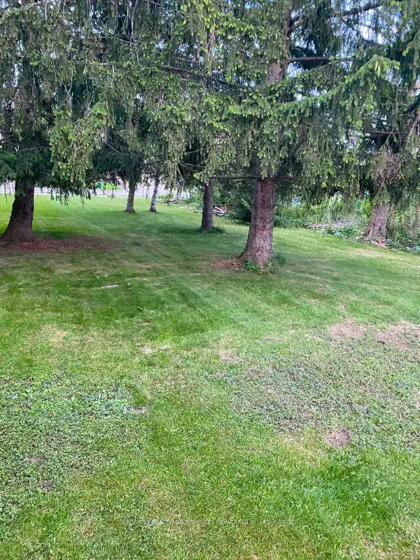 893 Wingarden Crescent