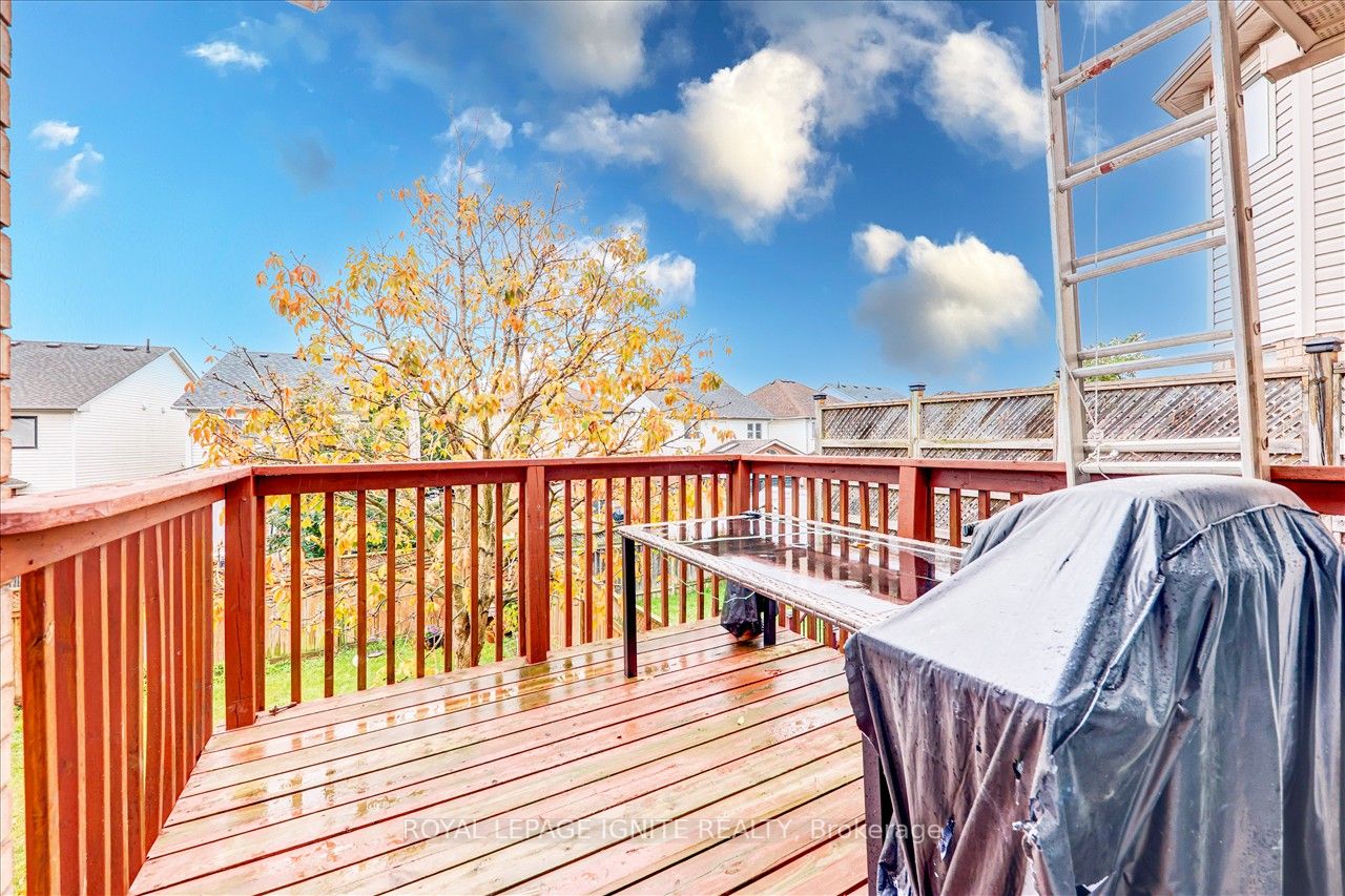 66 Shenandoah Dr