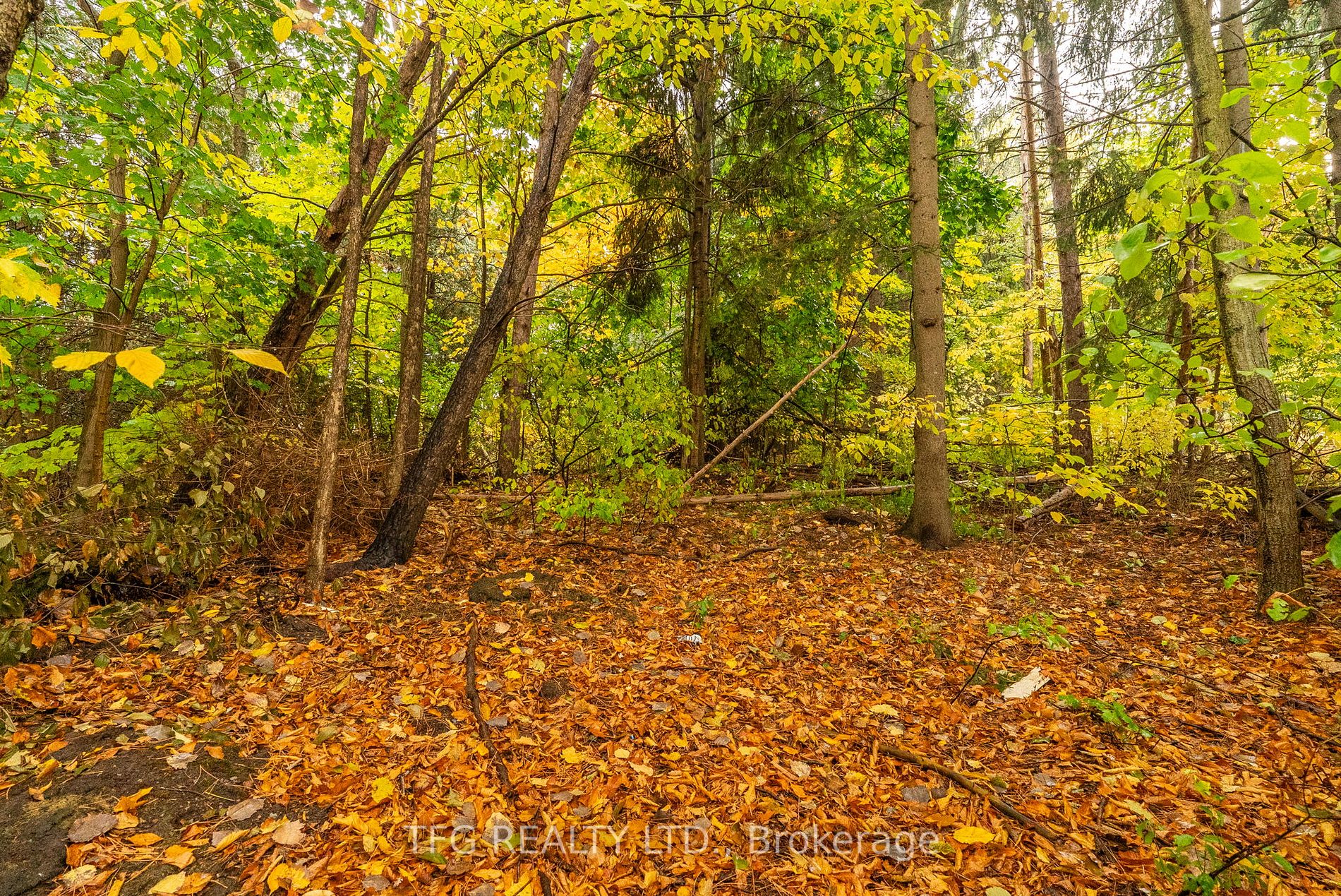 23 Kingswood Dr