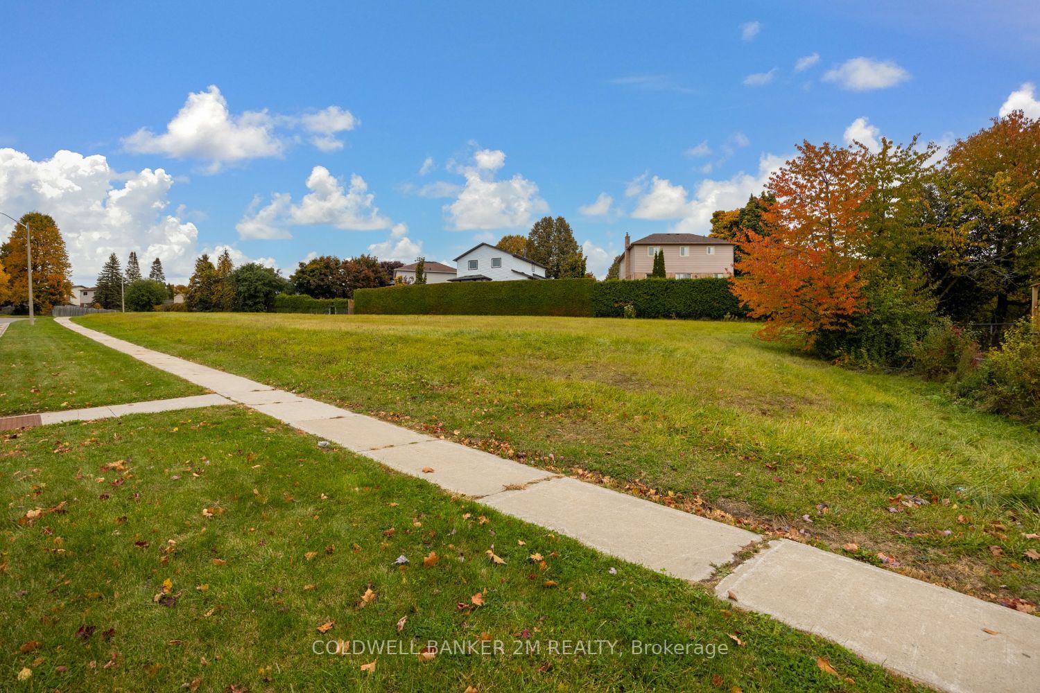 717 Attersley Dr