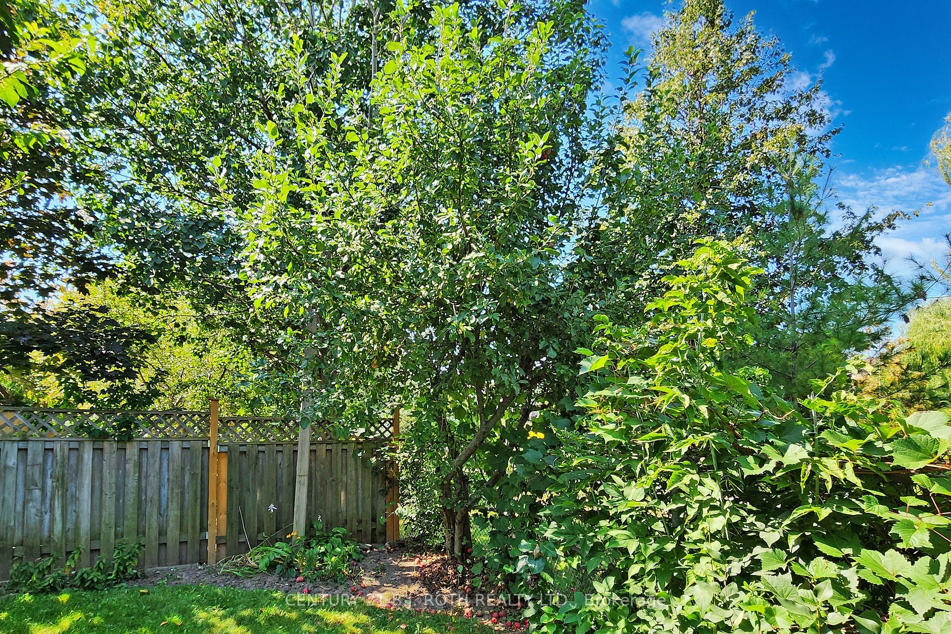 88 Noake Crescent