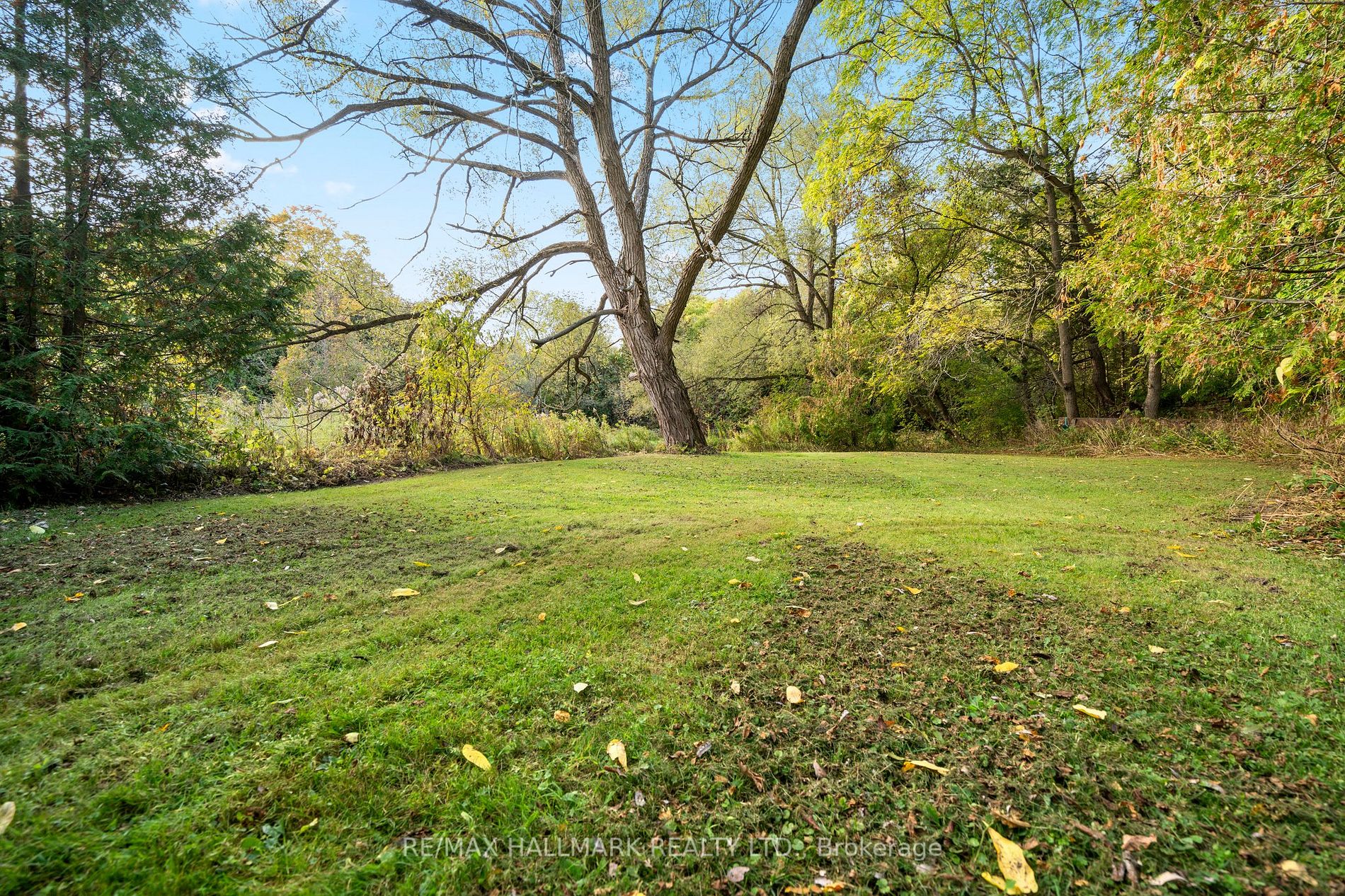 1904 Concession Rd 6 Road