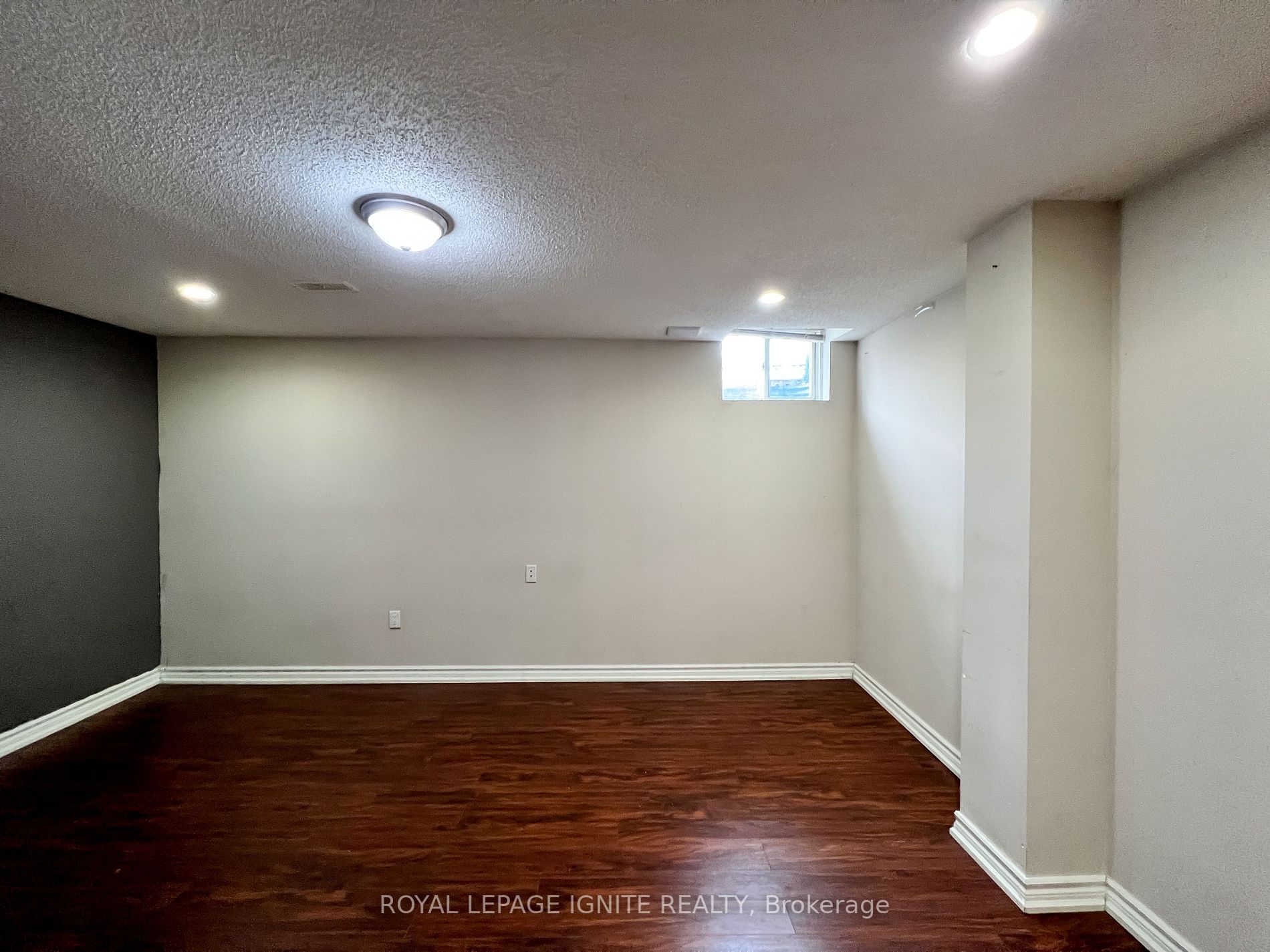 6 Trumpeter St