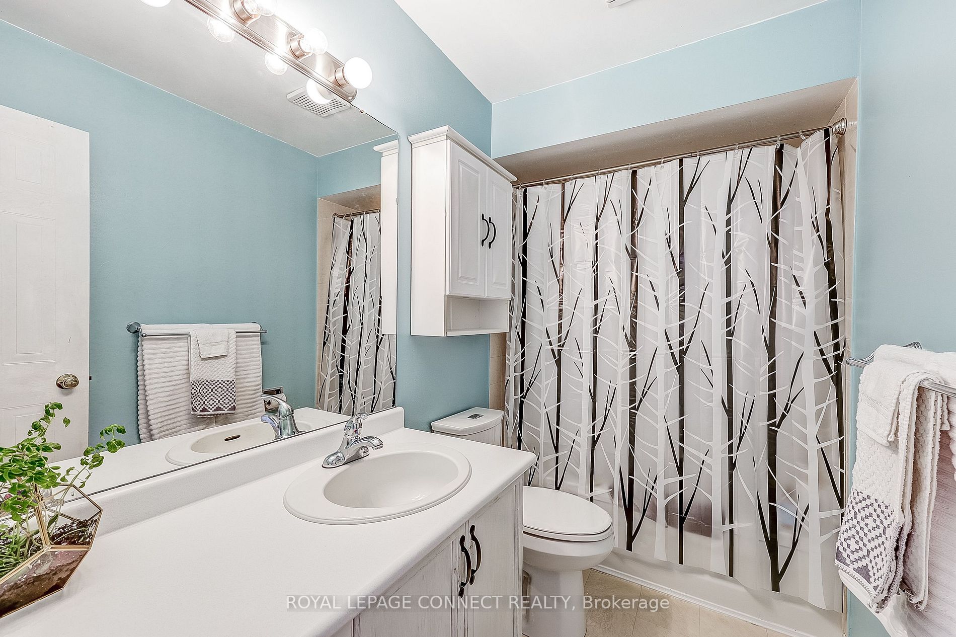 167 Vail Meadows Cres