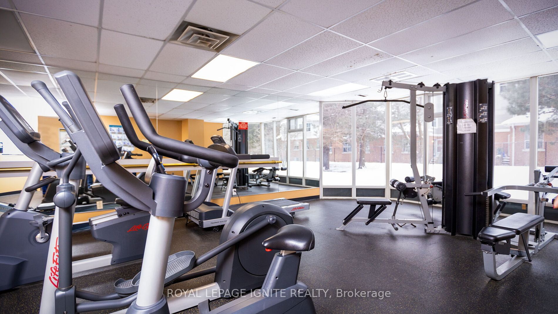 11753 Sheppard Ave E, #305