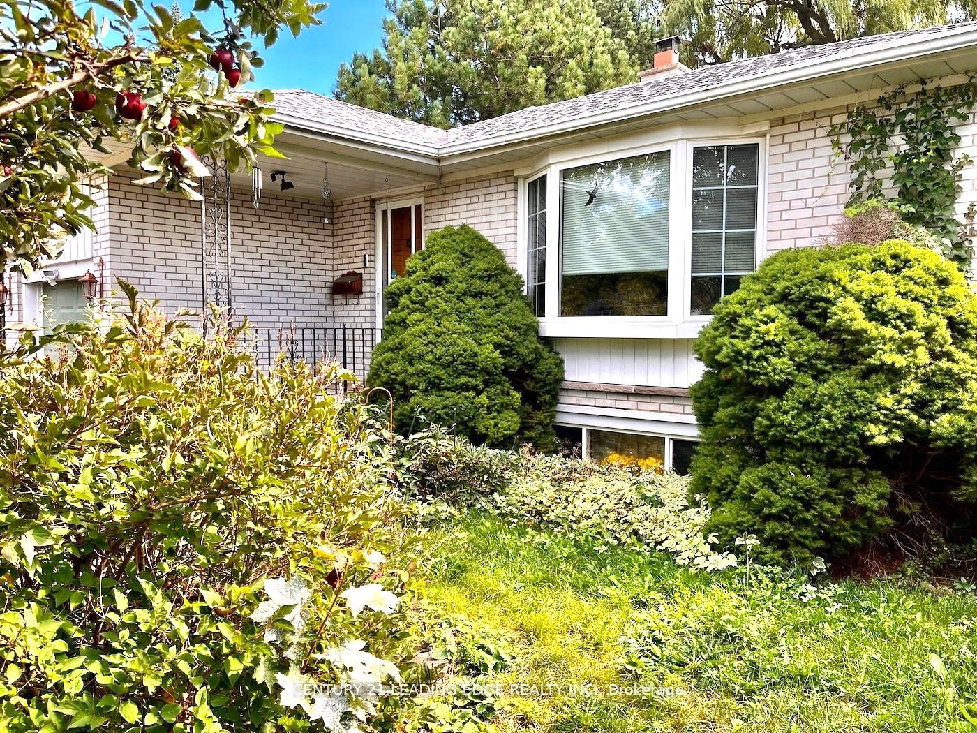 31 Cumber Ave