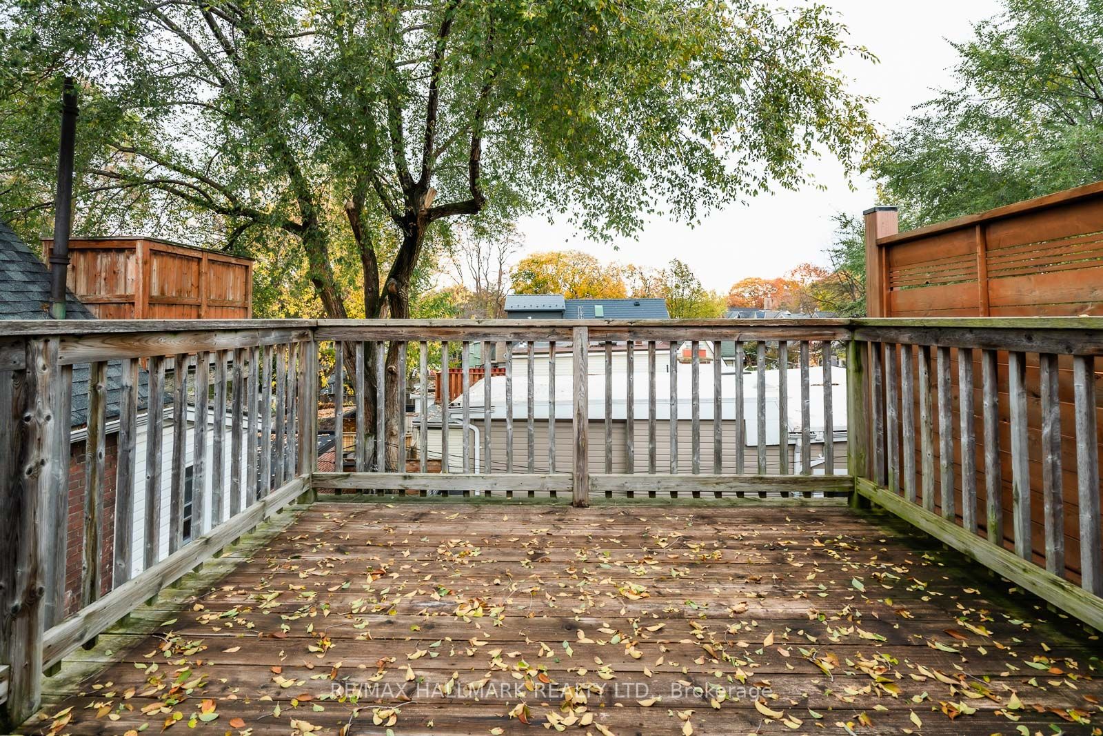 371 Woodbine Ave, #3
