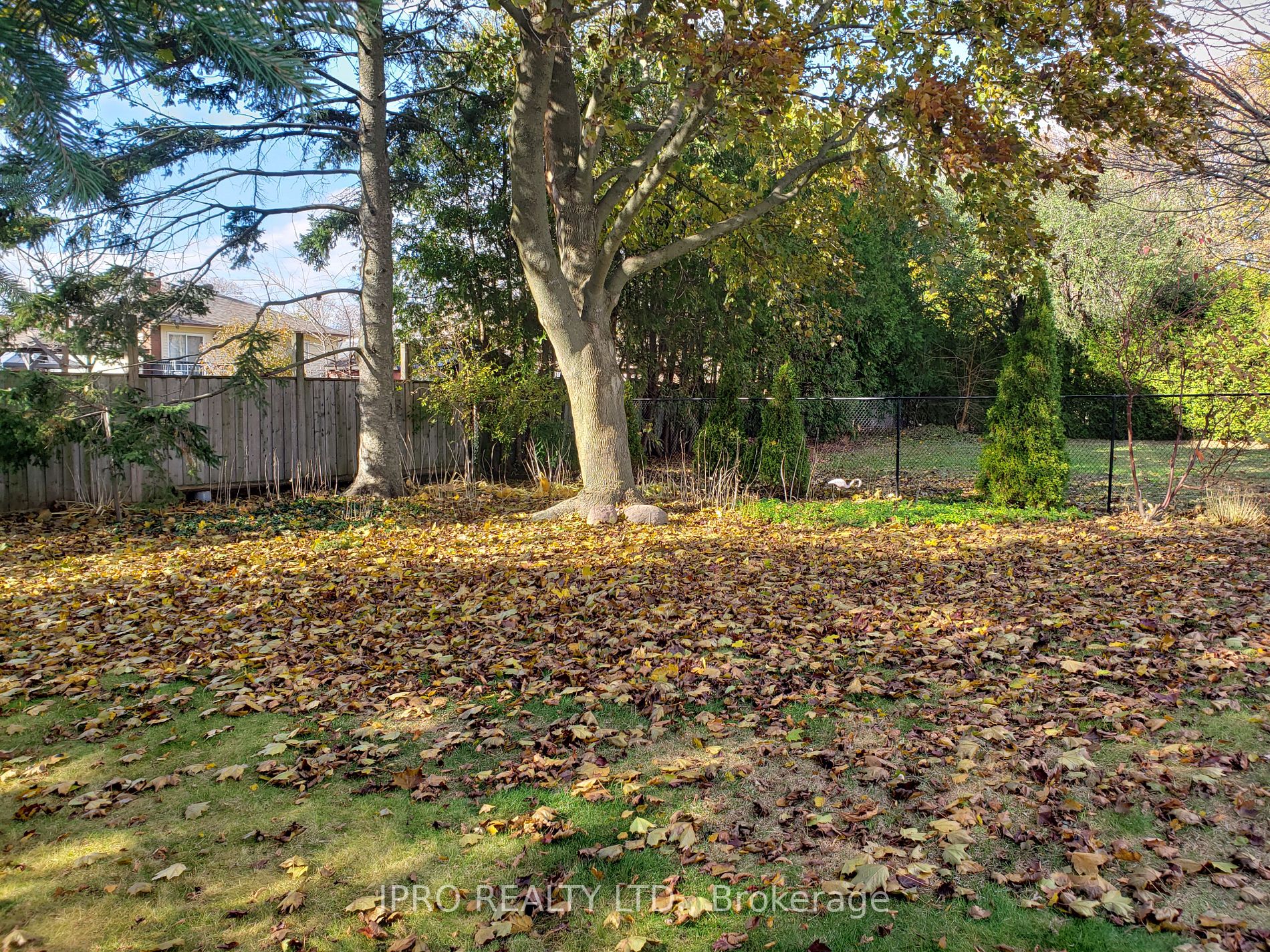 32 Darlington Blvd