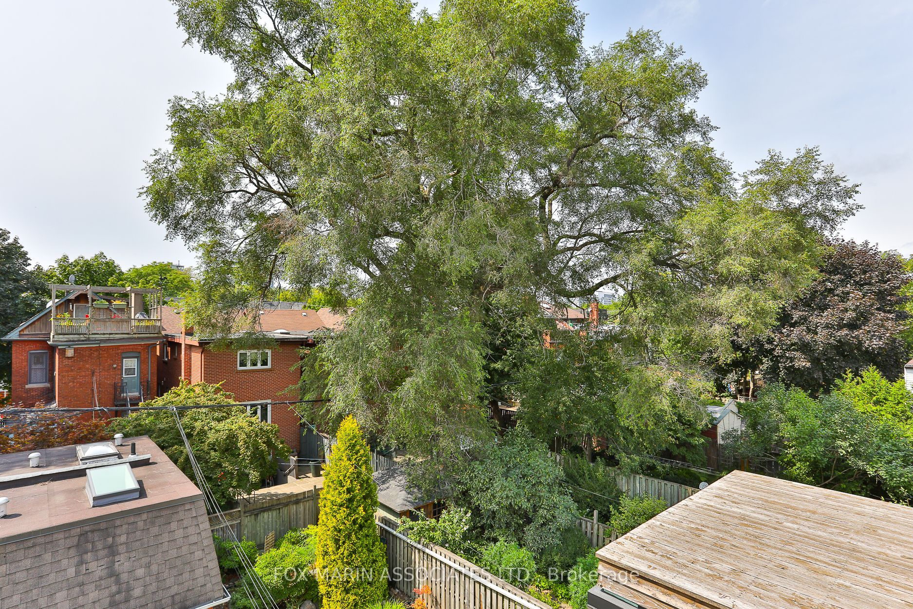 34 De Grassi St