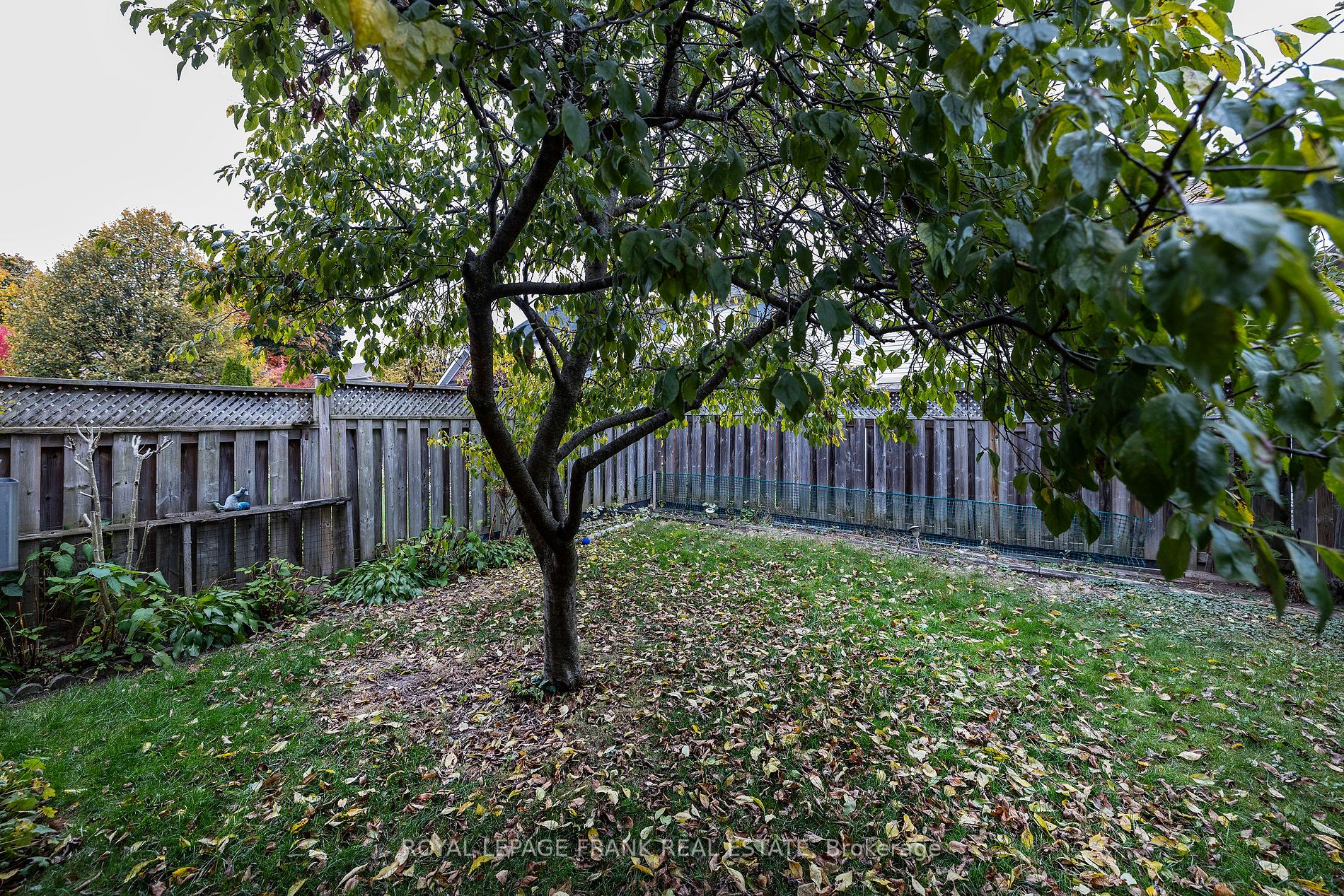 100 Trudeau Dr